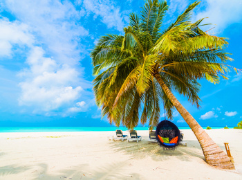 Boîte murale décorative | Maldives