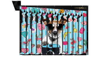 Wandspardose | Lustiger Hund | Ideale Geschenkidee für Kinder