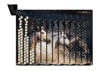 Calendar 2025 Horses | Gift calendar with horses