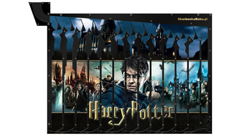 Wall piggy bank | Harry Potter | Great gift idea for young and old