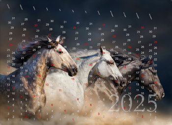 Achtergrond muur spaarpot | Kalender 2025 Paarden