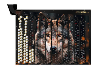 Kalender 2026 Wolf | Unieke wandkalender en spaarpot voor munten