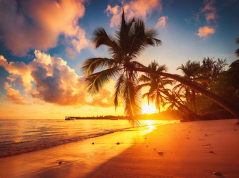 Boîte murale décorative | Coucher de soleil